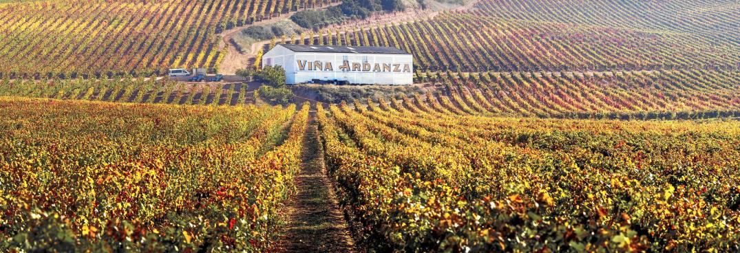 Rioja Vega: el acierto de dejar hablar al viñedo