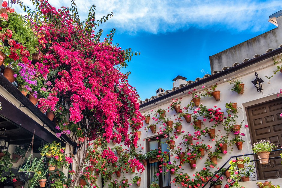 Viajar en primavera - Córdoba patios 