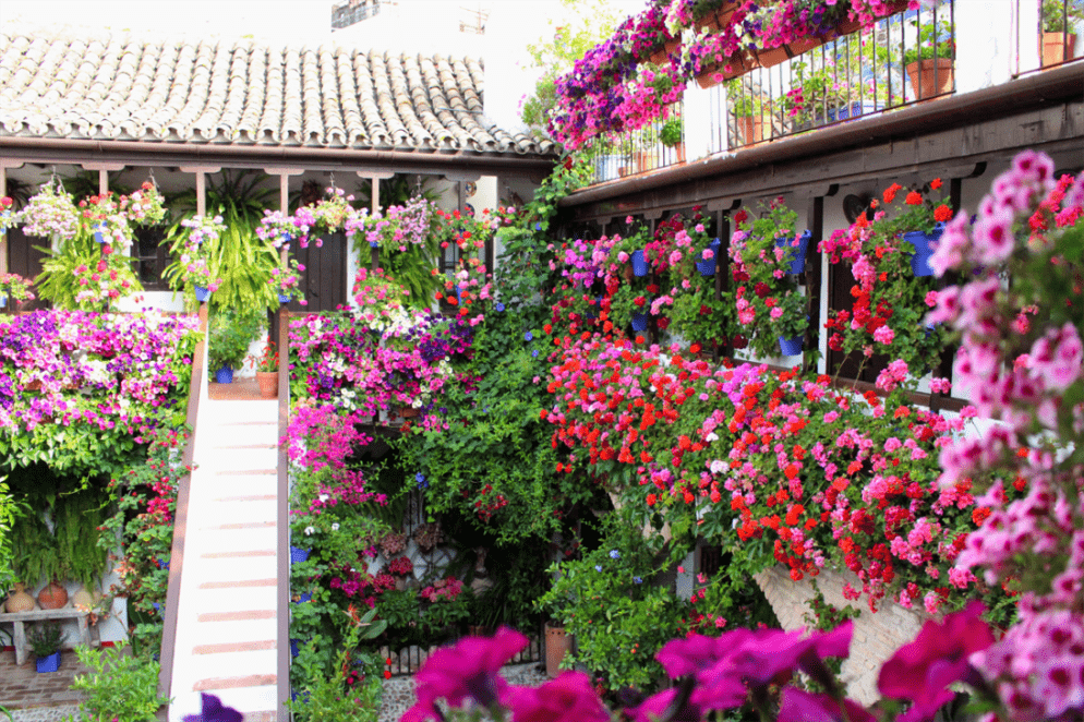 Viajar en primavera - Patios de Córdoba
