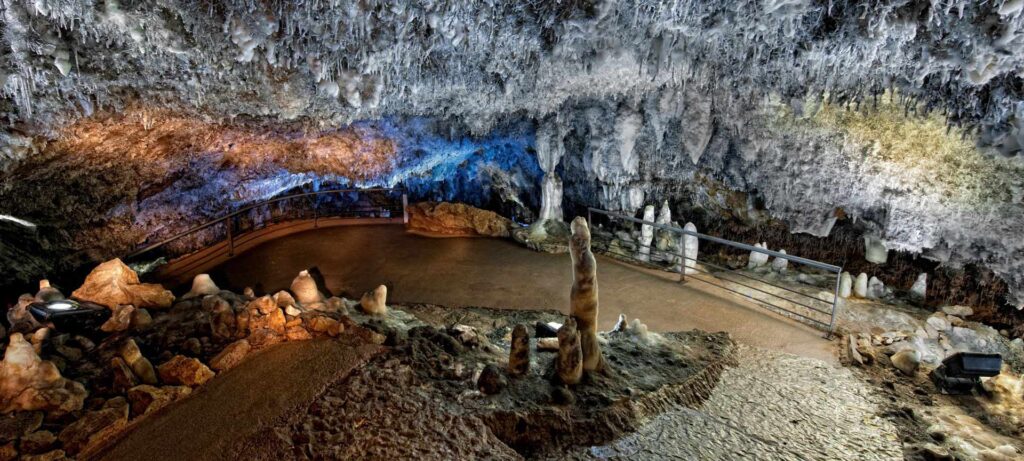 La cueva de Altamira - SANTILLANA DEL MAR