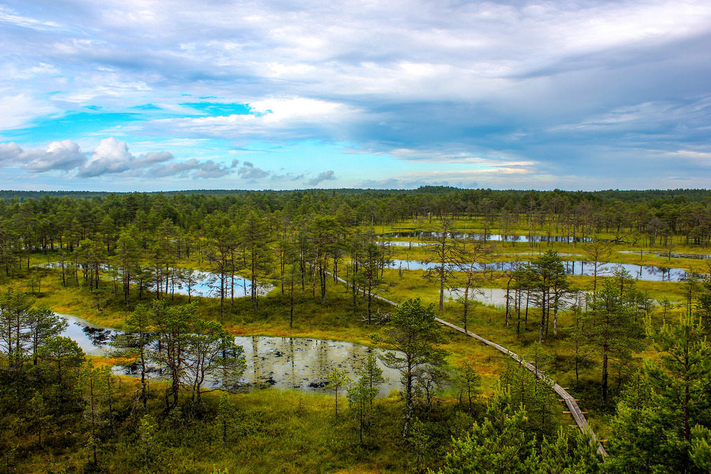  El Parque Nacional Lahemaa - TALLIN